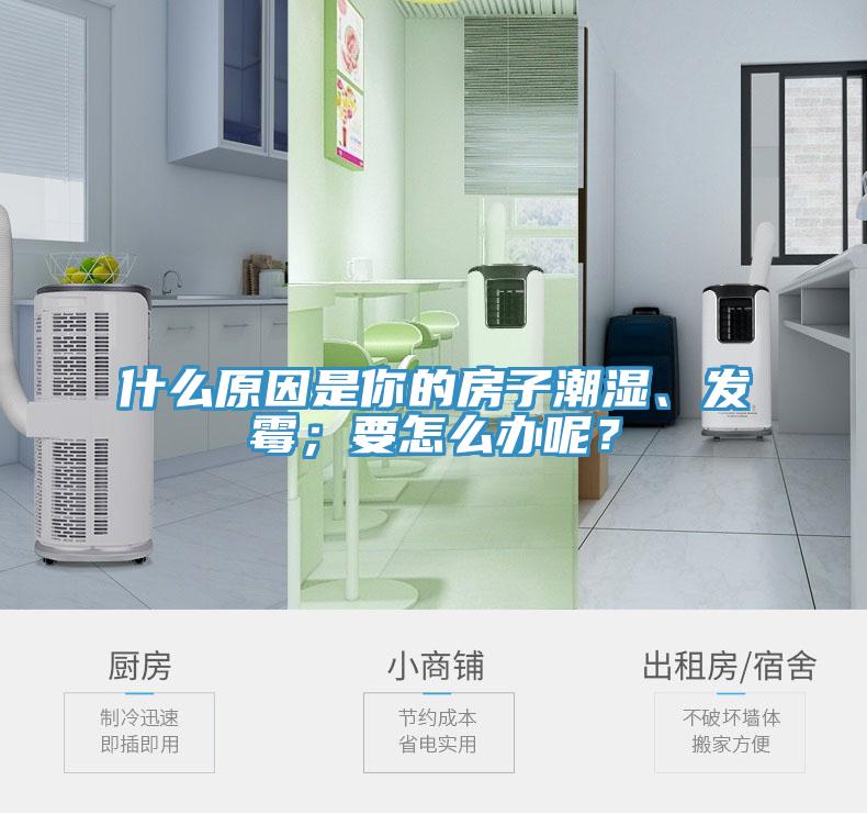 什么原因是你的房子潮濕、發(fā)霉；要怎么辦呢？