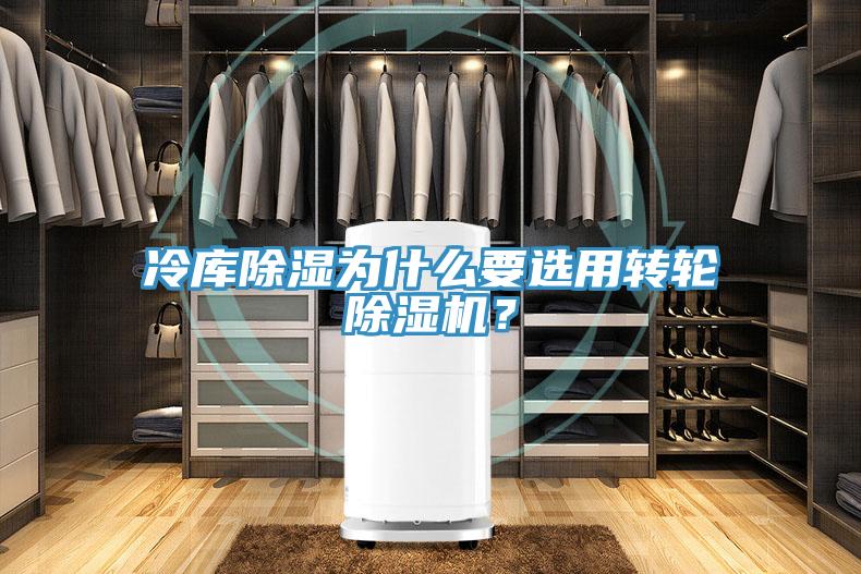 冷庫除濕為什么要選用轉(zhuǎn)輪除濕機？