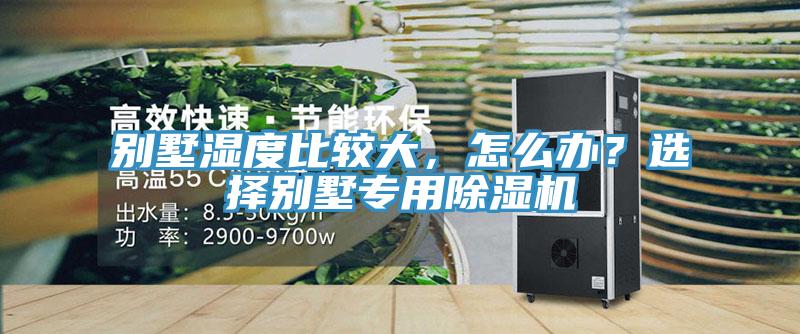 別墅濕度比較大，怎么辦？選擇別墅專用除濕機(jī)
