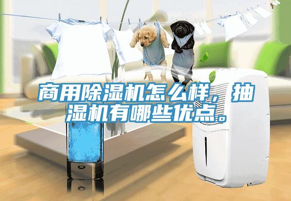 商用除濕機(jī)怎么樣，抽濕機(jī)有哪些優(yōu)點(diǎn)。