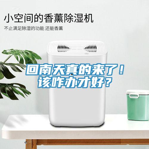 回南天真的來了！該咋辦才好？