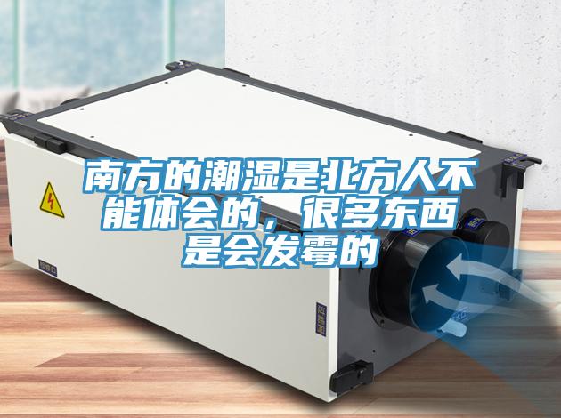 南方的潮濕是北方人不能體會(huì)的，很多東西是會(huì)發(fā)霉的