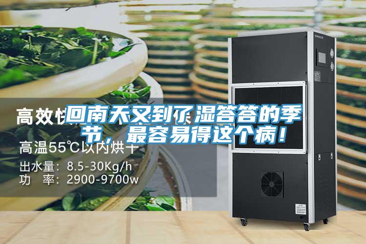 回南天又到了濕答答的季節(jié)，最容易得這個(gè)?。?></div>
								<div   id=