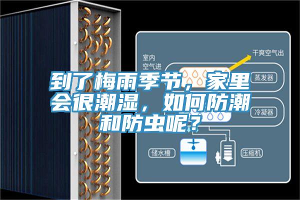 到了梅雨季節(jié)，家里會(huì)很潮濕，如何防潮和防蟲(chóng)呢？