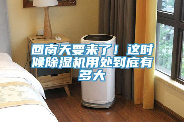 回南天要來了！這時候除濕機用處到底有多大