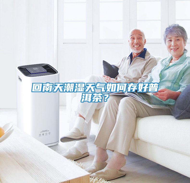 回南天潮濕天氣如何存好普洱茶？