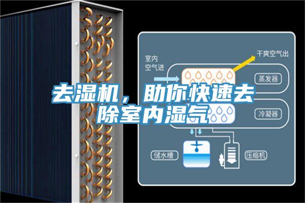 去濕機(jī)，助你快速去除室內(nèi)濕氣