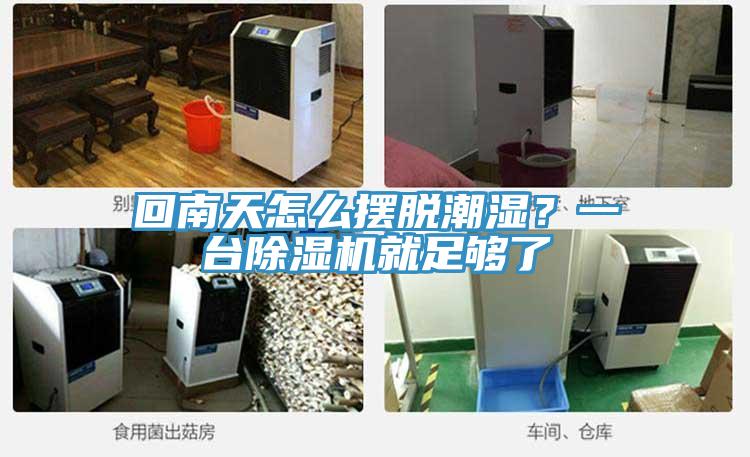 回南天怎么擺脫潮濕？一臺(tái)除濕機(jī)就足夠了