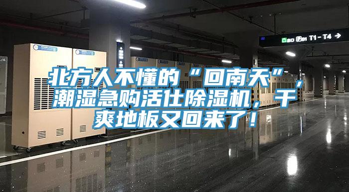 北方人不懂的“回南天”，潮濕急購(gòu)活仕除濕機(jī)，干爽地板又回來(lái)了！