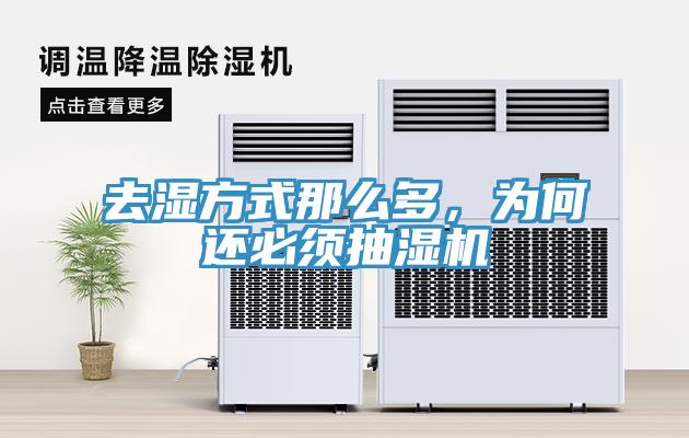 去濕方式那么多，為何還必須抽濕機(jī)