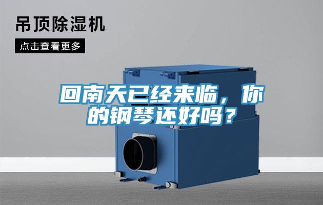 回南天已經(jīng)來臨，你的鋼琴還好嗎？