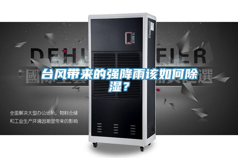 臺(tái)風(fēng)帶來(lái)的強(qiáng)降雨該如何除濕？