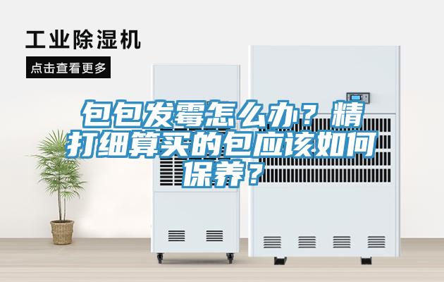 包包發(fā)霉怎么辦？精打細(xì)算買的包應(yīng)該如何保養(yǎng)？