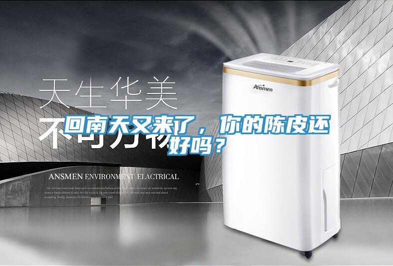 回南天又來了，你的陳皮還好嗎？