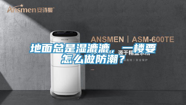 地面總是濕漉漉，一樓要怎么做防潮？