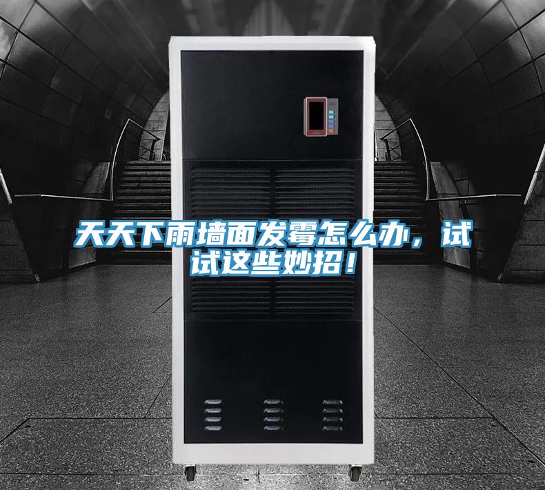天天下雨墻面發(fā)霉怎么辦，試試這些妙招！