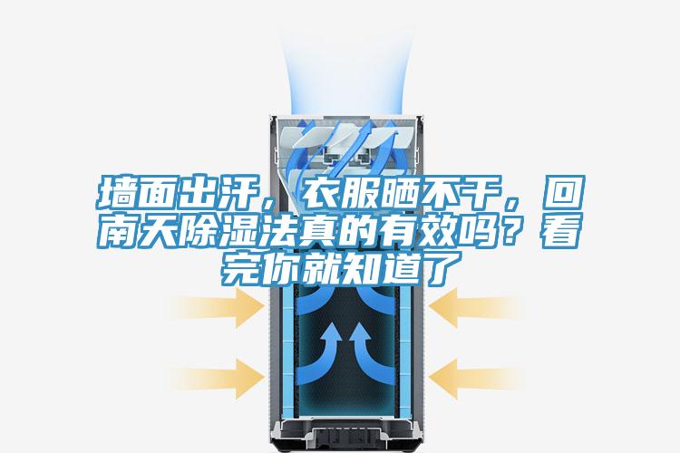墻面出汗，衣服曬不干，回南天除濕法真的有效嗎？看完你就知道了