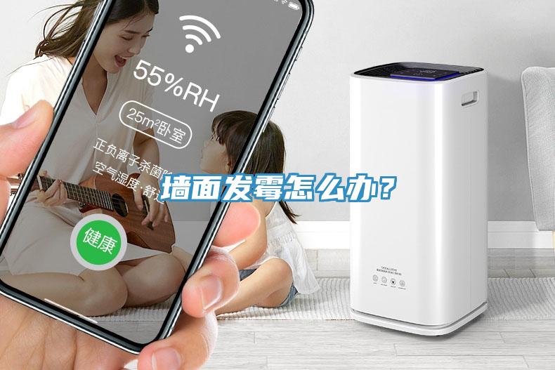 墻面發(fā)霉怎么辦？