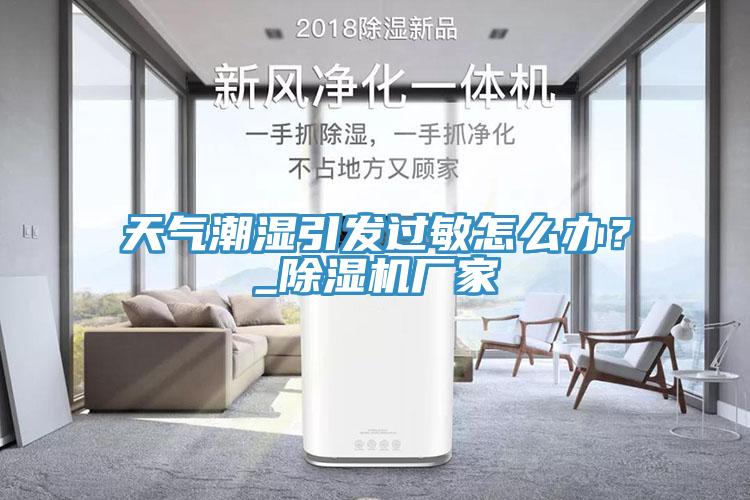 天氣潮濕引發(fā)過敏怎么辦？_除濕機(jī)廠家