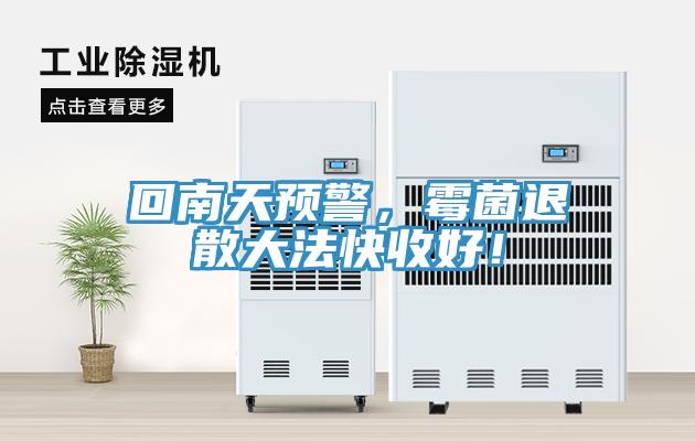 回南天預(yù)警，霉菌退散大法快收好！