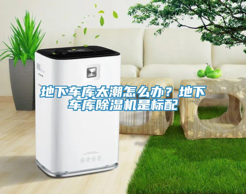 地下車庫太潮怎么辦？地下車庫除濕機是標配