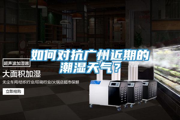 如何對抗廣州近期的潮濕天氣？