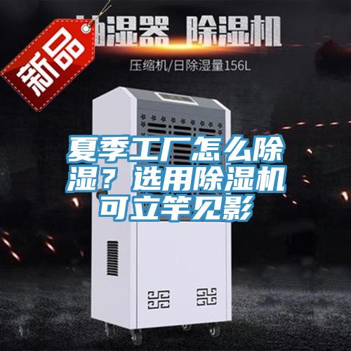 夏季工廠怎么除濕？選用除濕機(jī)可立竿見影