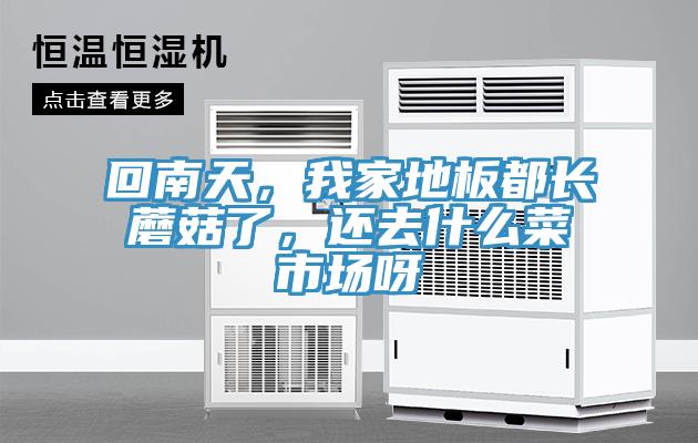 回南天，我家地板都長(zhǎng)蘑菇了，還去什么菜市場(chǎng)呀