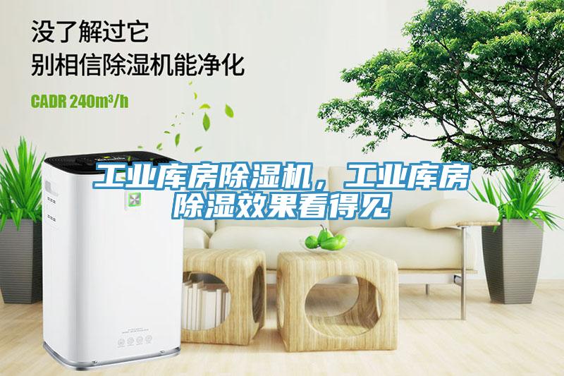 工業(yè)庫房除濕機(jī)，工業(yè)庫房除濕效果看得見