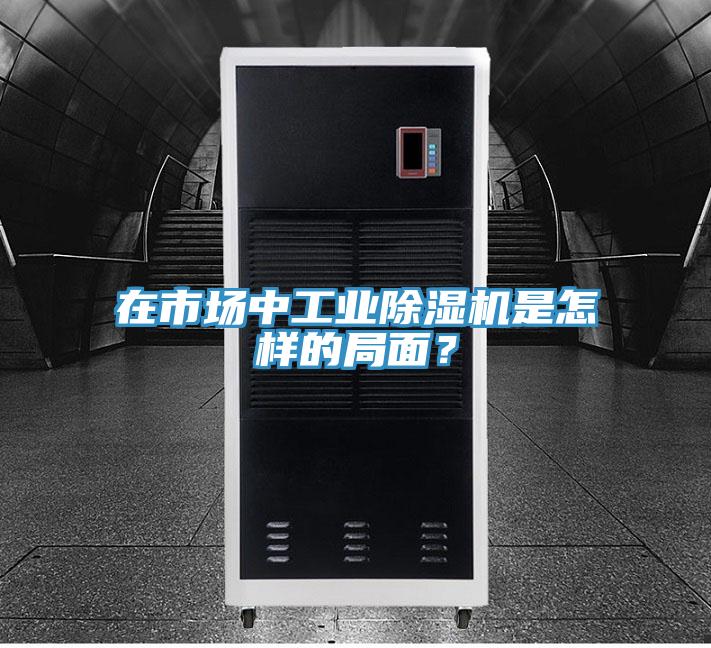 在市場中工業(yè)除濕機(jī)是怎樣的局面？