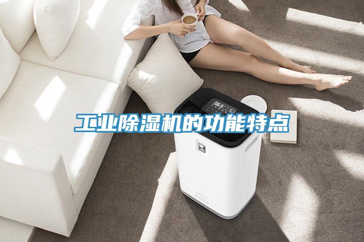 工業(yè)除濕機(jī)的功能特點