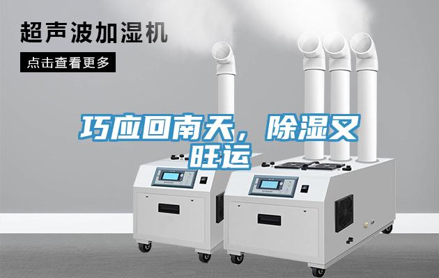 巧應回南天，除濕又旺運