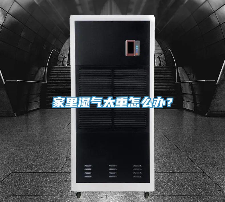 家里濕氣太重怎么辦？