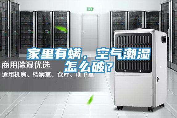 家里有螨，空氣潮濕怎么破？