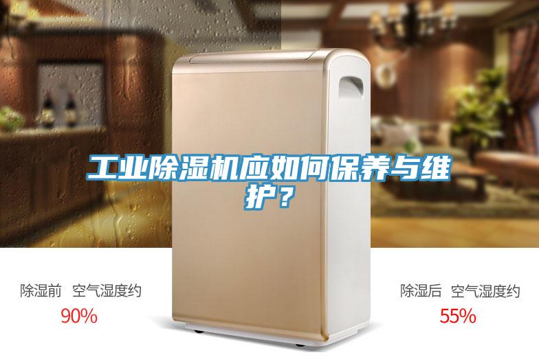 工業(yè)除濕機應如何保養(yǎng)與維護？