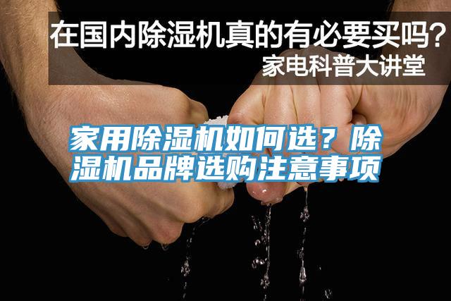 家用除濕機如何選？除濕機品牌選購注意事項