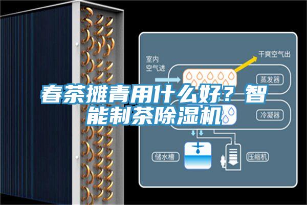 春茶攤青用什么好？智能制茶除濕機(jī)
