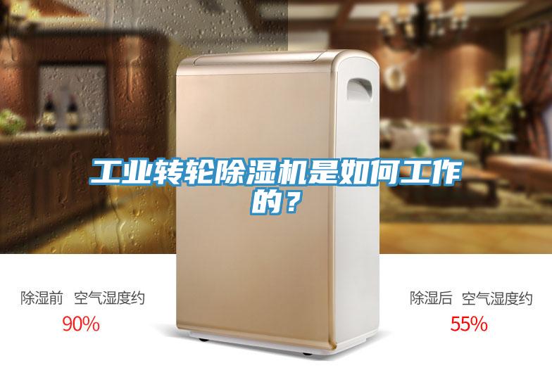 工業(yè)轉(zhuǎn)輪除濕機(jī)是如何工作的？