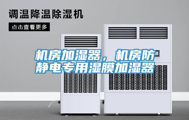 機(jī)房加濕器，機(jī)房防靜電專用濕膜加濕器