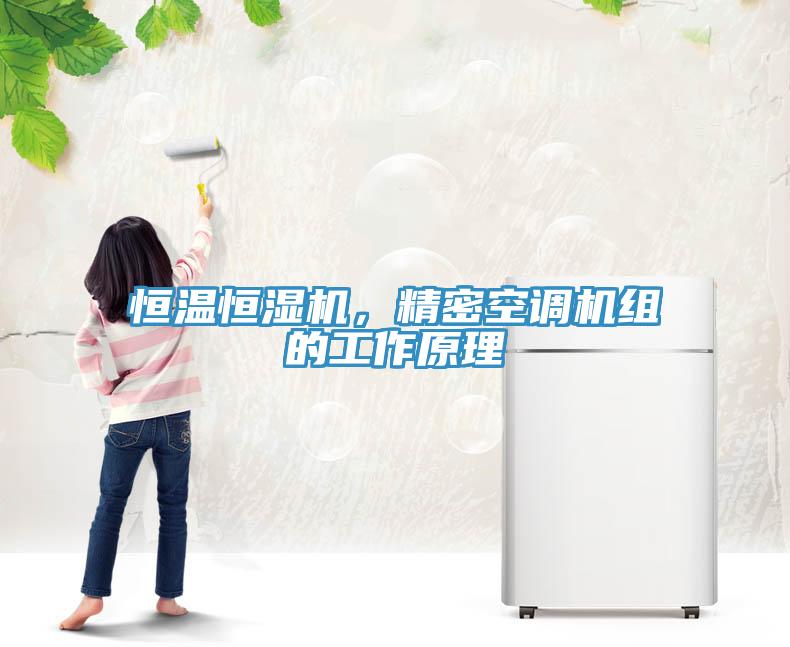 恒溫恒濕機，精密空調機組的工作原理
