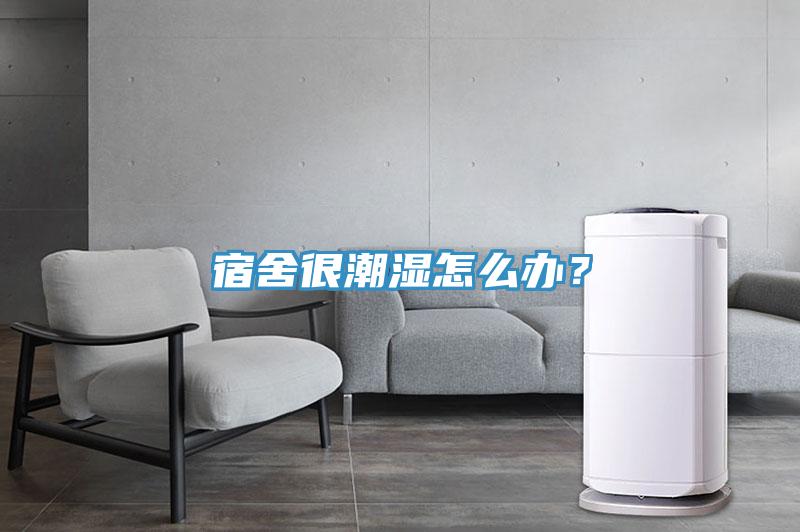 宿舍很潮濕怎么辦？