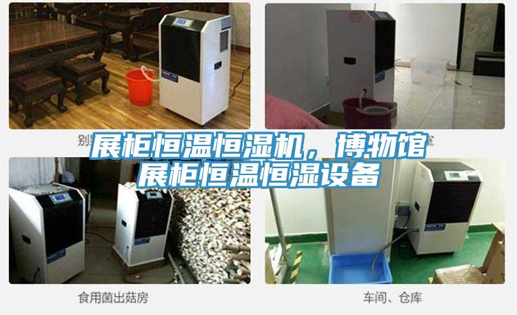 展柜恒溫恒濕機，博物館展柜恒溫恒濕設(shè)備