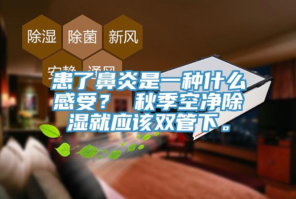 患了鼻炎是一種什么感受？ 秋季空凈除濕就應(yīng)該雙管下。