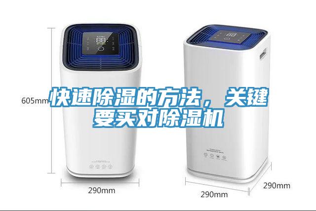快速除濕的方法，關鍵要買對除濕機