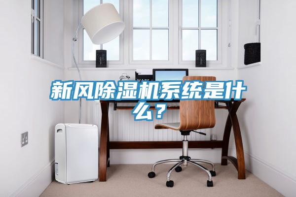 新風除濕機系統(tǒng)是什么？