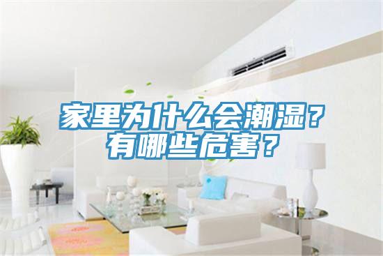 家里為什么會(huì)潮濕？有哪些危害？