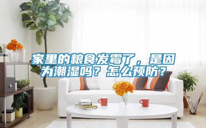 家里的糧食發(fā)霉了，是因?yàn)槌睗駟?？怎么預(yù)防？