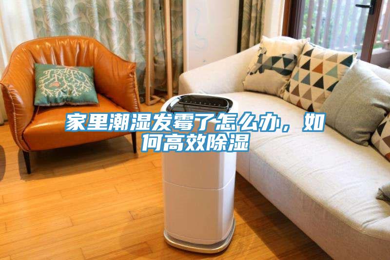 家里潮濕發(fā)霉了怎么辦，如何高效除濕