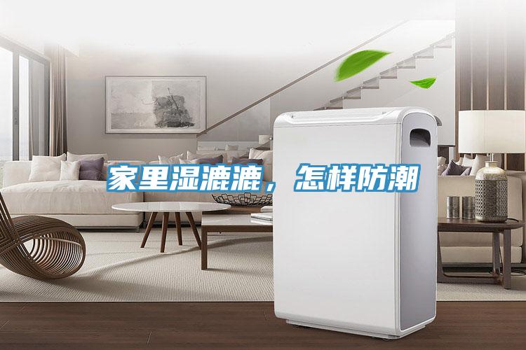 家里濕漉漉，怎樣防潮