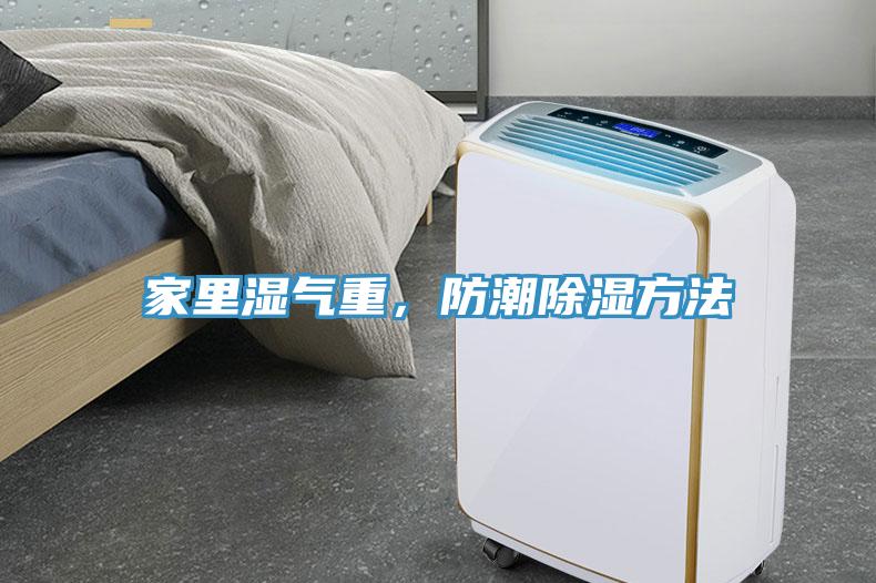 家里濕氣重，防潮除濕方法
